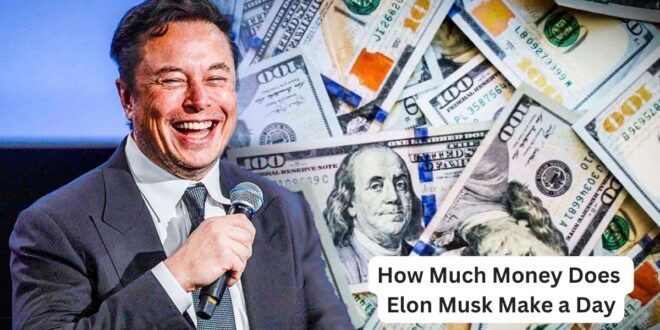 How Much Money Does Elon Musk Make a Day