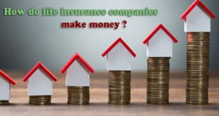 How do life insurance companies make money